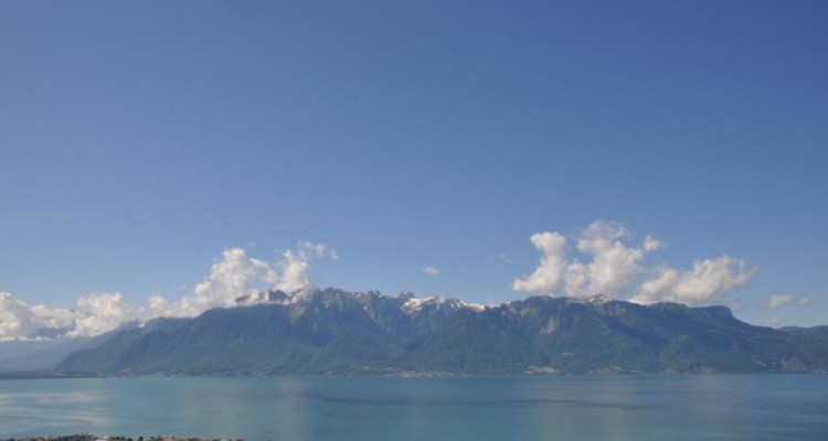 Vue panoramique sur le lac et les montagnes ! image 2