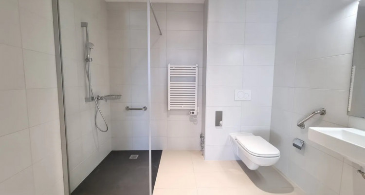 Appartement Collombey-Muraz - 2 pièces image 4