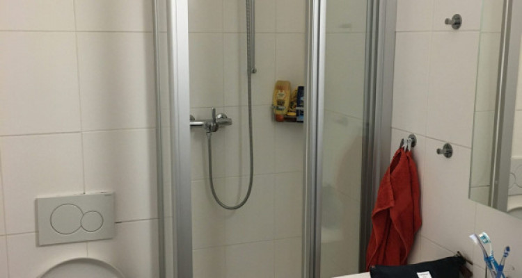 Appartement Genève - 3 pièces image 9