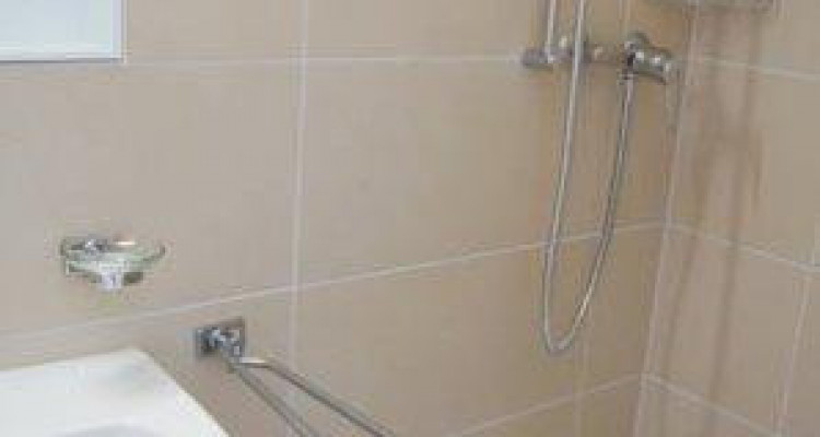 Appartement Fribourg - 1 pièce image 3