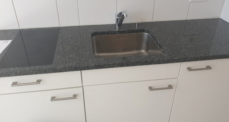 Appartement Fribourg - 1 pièce image 8