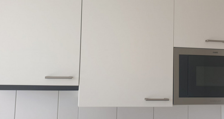 Appartement Fribourg - 1 pièce image 9