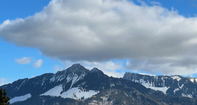 Appartement La Tour-de-Trême - 3 pièces image 1