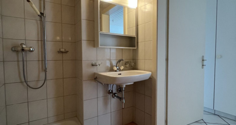 Appartement La Tour-de-Trême - 3 pièces image 6