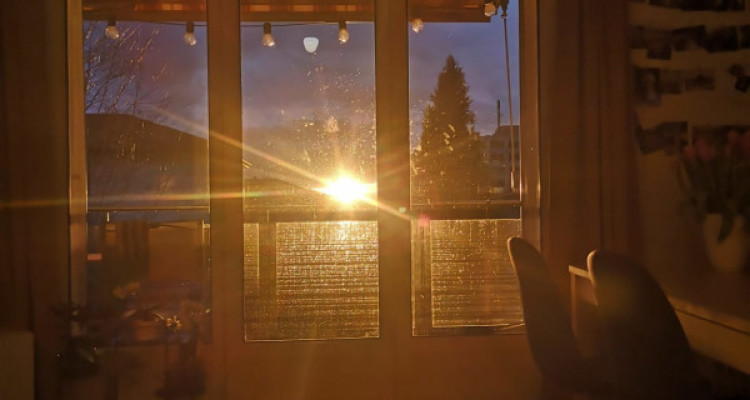 Appartement La Tour-de-Peilz - 3 pièces image 7