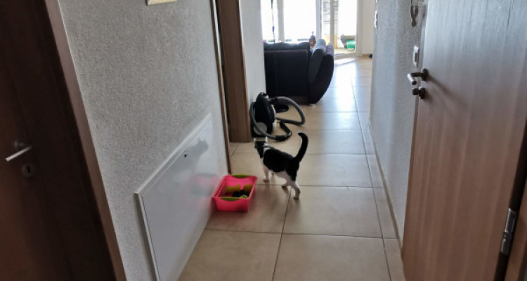 Appartement Cugy - 3 pièces image 10