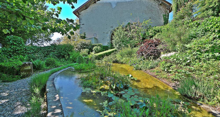 Villa dartiste sans pareil avec magnifique jardin  image 3