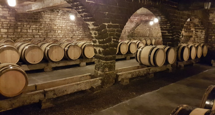 Bourgogne , domaine viticole de grands crus et maison de maître image 2