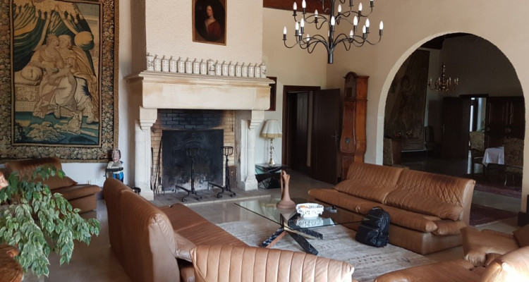 Bourgogne , domaine viticole de grands crus et maison de maître image 3