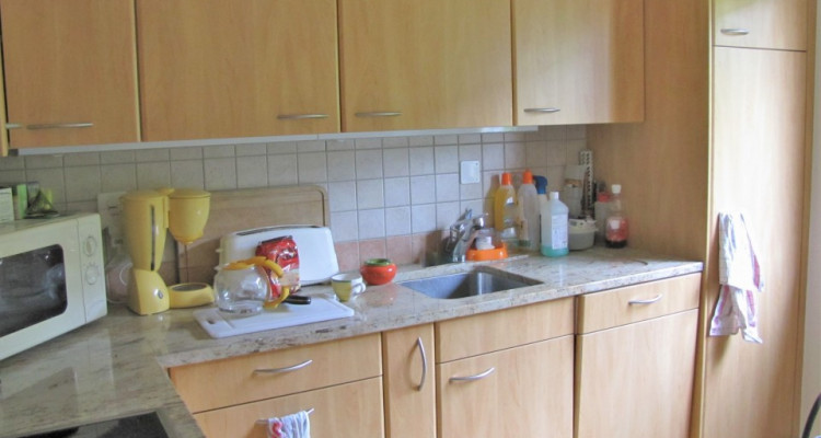 Venez vivre à Grône (Itravers) ! image 4