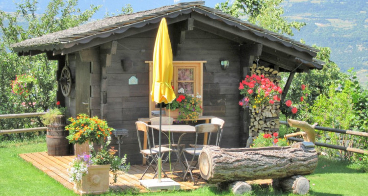 Venez vivre à Grône (Itravers) ! image 10