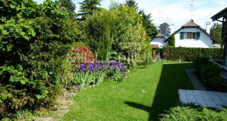 Belle maison mitoyenne à Mies image 7