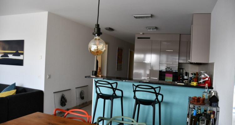 Mies : Appartement 1 rez-jardin, belle vue sur le lac image 5