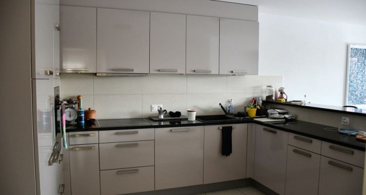 Mies : Appartement 1 rez-jardin, belle vue sur le lac image 6