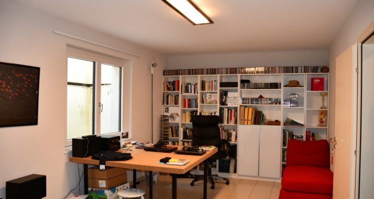 Mies : Appartement 1 rez-jardin, belle vue sur le lac image 12