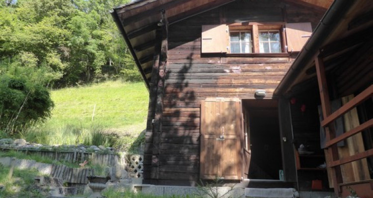 Gyon Immo vous propose un chalet de 4 pièces en pleine nature sans accès voiture image 2