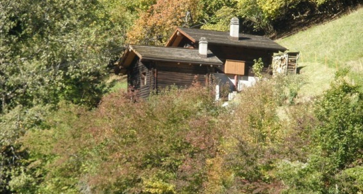 Gyon Immo vous propose un chalet de 4 pièces en pleine nature sans accès voiture image 3