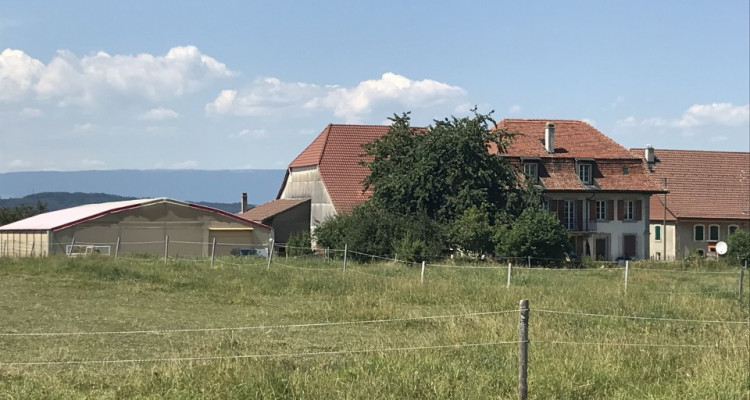 Cerniaz / VD domaine équestre de 21658m2 terrain + manège fermé 500m2 image 1