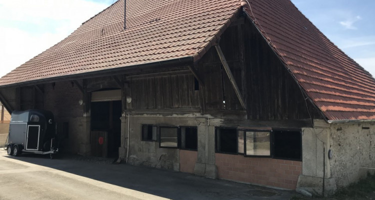 Cerniaz / VD domaine équestre de 21658m2 terrain + manège fermé 500m2 image 4