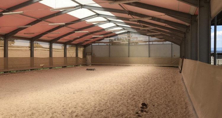 Cerniaz / VD domaine équestre de 21658m2 terrain + manège fermé 500m2 image 6