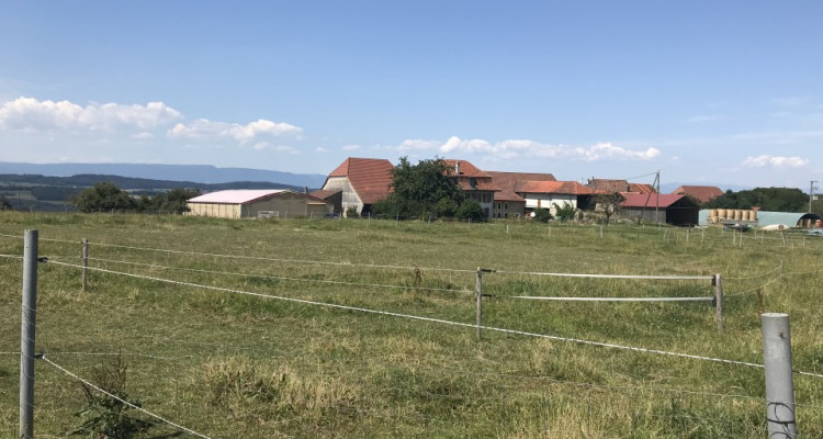 Cerniaz / VD domaine équestre de 21658m2 terrain + manège fermé 500m2 image 7