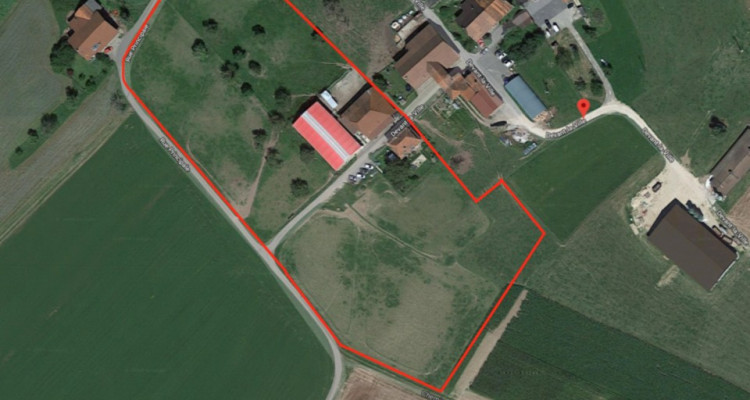 Cerniaz / VD domaine équestre de 21658m2 terrain + manège fermé 500m2 image 8