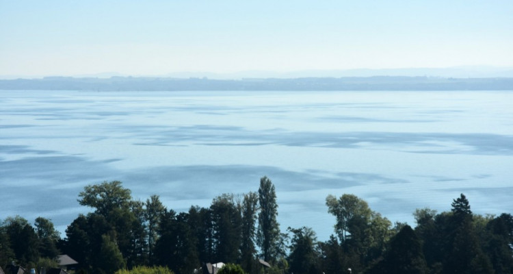 Vue panoramique extraordinaire sur le lac et les Alpes  image 1