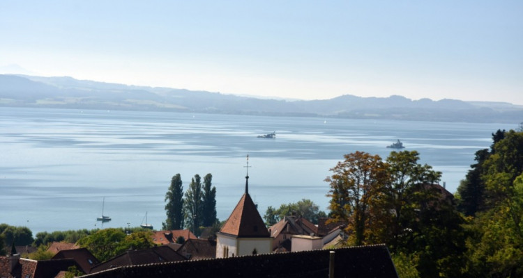 Vue panoramique extraordinaire sur le lac et les Alpes  image 2