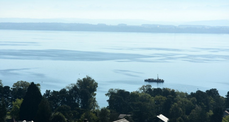 Vue panoramique extraordinaire sur le lac et les Alpes  image 3