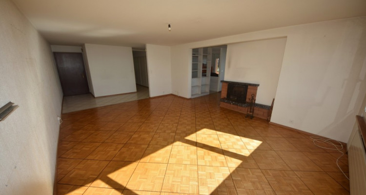 Vue panoramique extraordinaire sur le lac et les Alpes  image 4