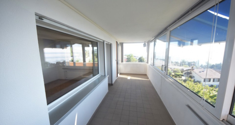 Vue panoramique extraordinaire sur le lac et les Alpes  image 6