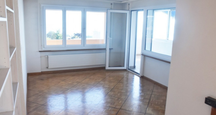 Vue panoramique extraordinaire sur le lac et les Alpes  image 8