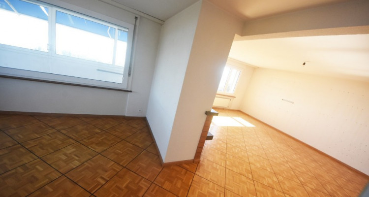 Vue panoramique extraordinaire sur le lac et les Alpes  image 9