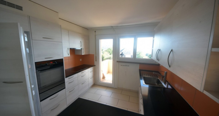 Vue panoramique extraordinaire sur le lac et les Alpes  image 10