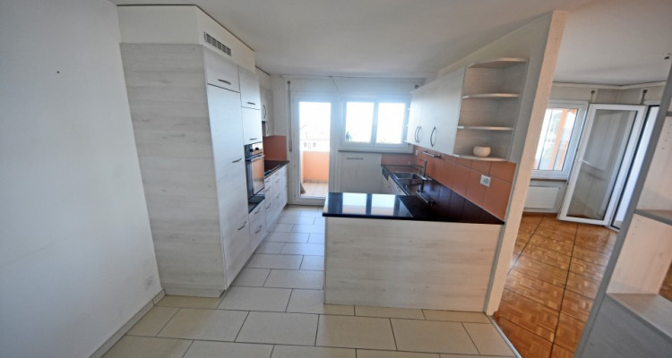 Vue panoramique extraordinaire sur le lac et les Alpes  image 11