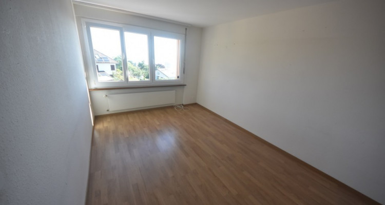 Vue panoramique extraordinaire sur le lac et les Alpes  image 12