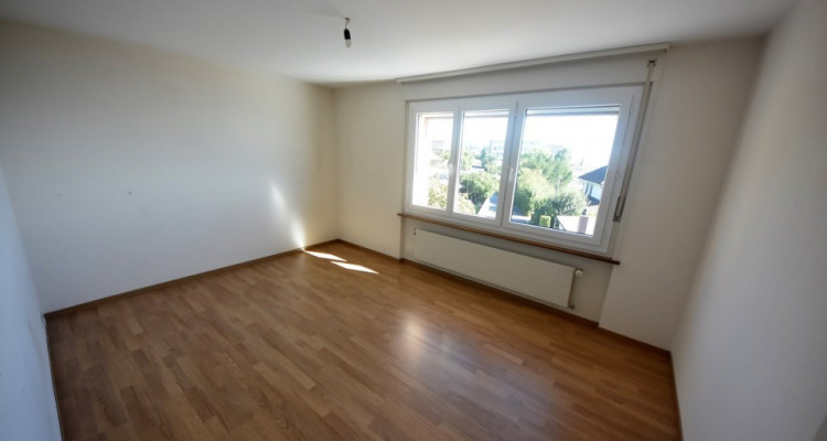 Vue panoramique extraordinaire sur le lac et les Alpes  image 13