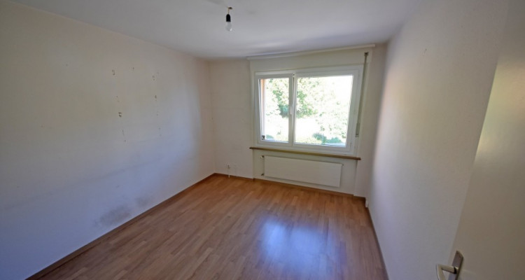 Vue panoramique extraordinaire sur le lac et les Alpes  image 14