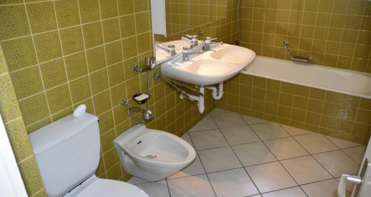 Vue panoramique extraordinaire sur le lac et les Alpes  image 15