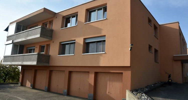 Vue panoramique extraordinaire sur le lac et les Alpes  image 16