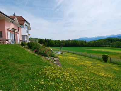 Coup de Coeur !!!!! Magnifique villa de 7,5 pièces dans un cadre idyllique à 20 minutes de Lausanne image 1