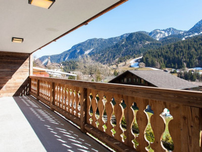 A vendre magnifiques appartement à 10min de Gstaad (BE-CH) image 1