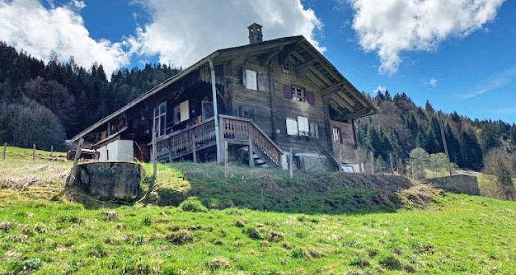 Chalet à rénover. image 1