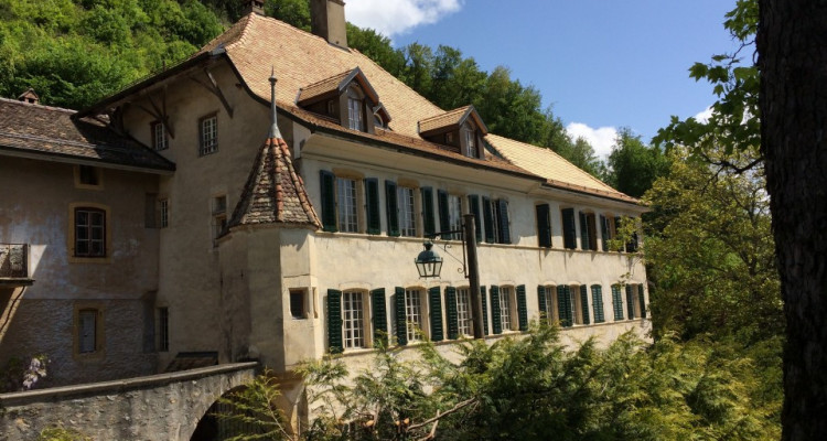 Immeuble avec 4 à 6 appartements selon organisation des lieux. image 1