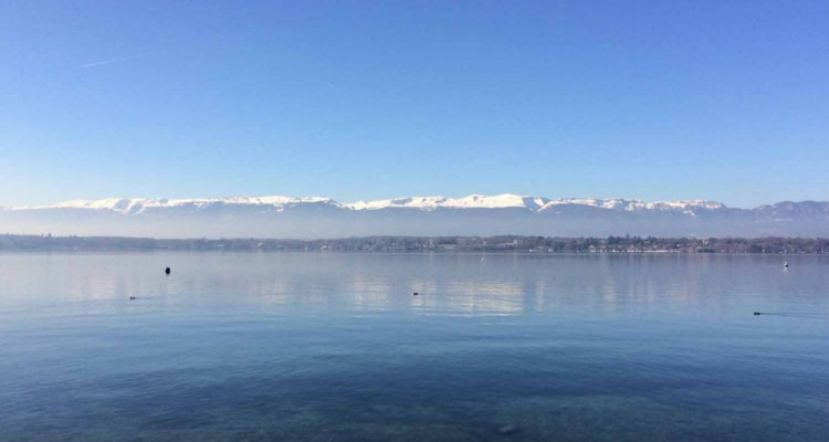 Spectacular mansion on Lake Geneva image 6