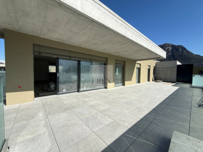 Spacieux attique 4,5 pièces neuf avec terrasse panoramique de 68 m2 image 8