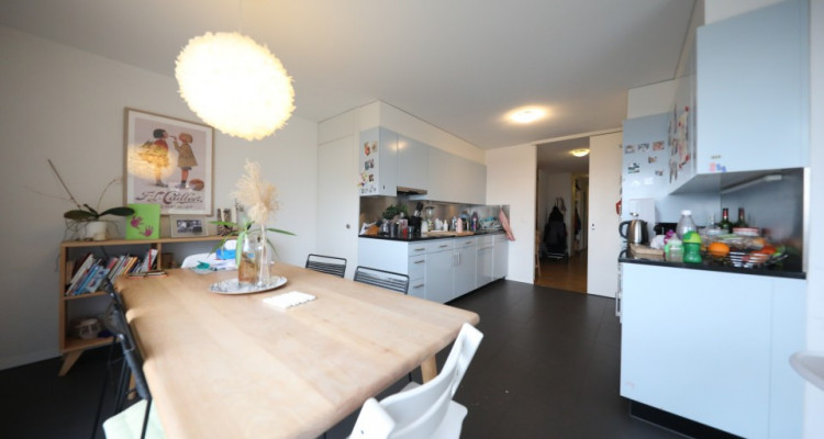 Superbe appartement / 4.5p / 3 chambres / terrasse image 3