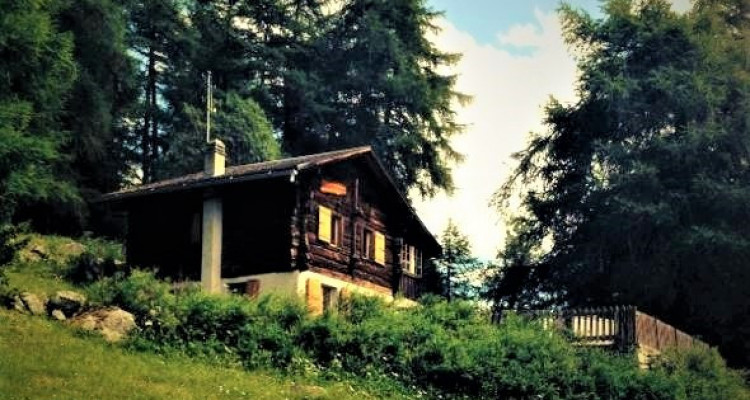 Chalet aux mayens de Mase image 18