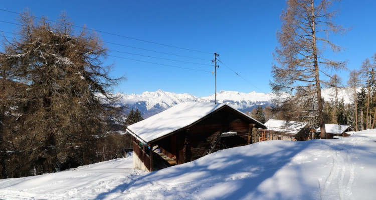 Chalet aux mayens de Mase image 16