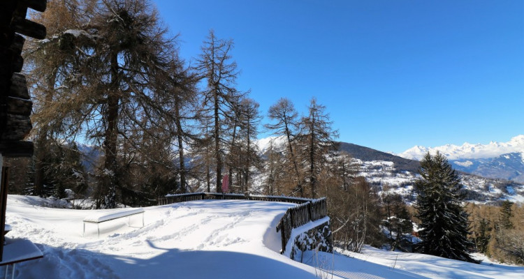 Chalet aux mayens de Mase image 17